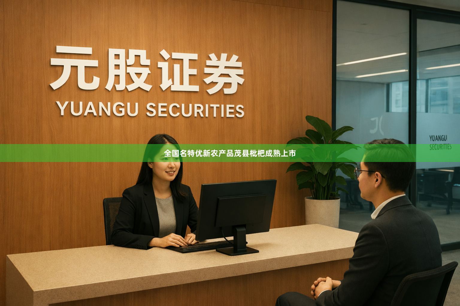 全国名特优新农产品茂县枇杷成熟上市