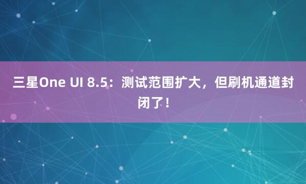 三星One UI 8.5：测试范围扩大，但刷机通道封闭了！