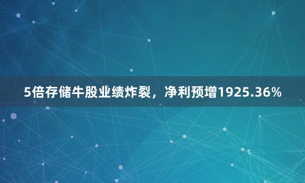 5倍存储牛股业绩炸裂,净利预增1925.36%