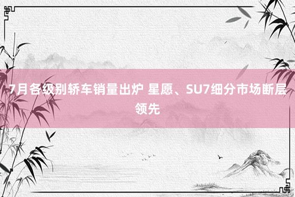 7月各级别轿车销量出炉 星愿、SU7细分市场断层领先