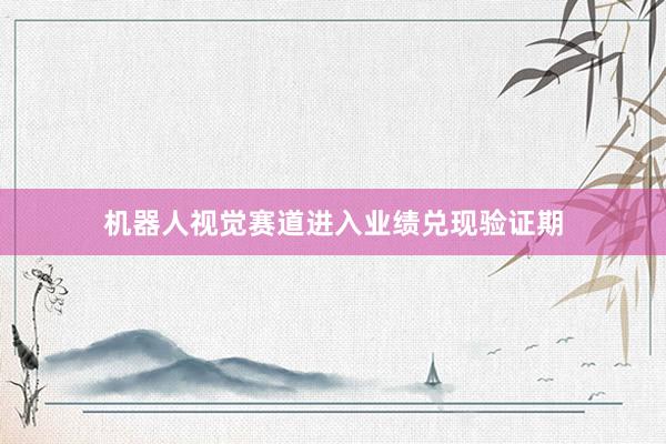 机器人视觉赛道进入业绩兑现验证期