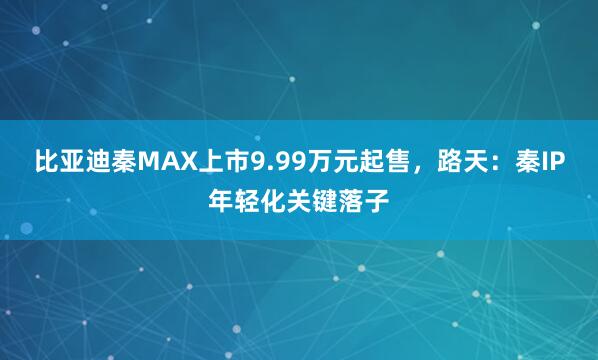 比亚迪秦MAX上市9.99万元起售，路天：秦IP年轻化关键落子