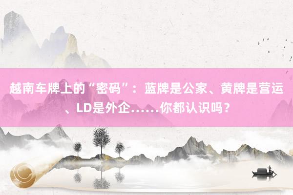 越南车牌上的“密码”：蓝牌是公家、黄牌是营运、LD是外企……你都认识吗？