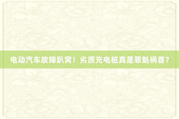 电动汽车故障趴窝！劣质充电桩真是罪魁祸首？