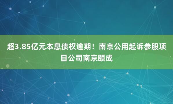 超3.85亿元本息债权逾期！南京公用起诉参股项目公司南京颐成