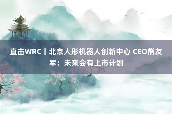 直击WRC丨北京人形机器人创新中心 CEO熊友军：未来会有上市计划