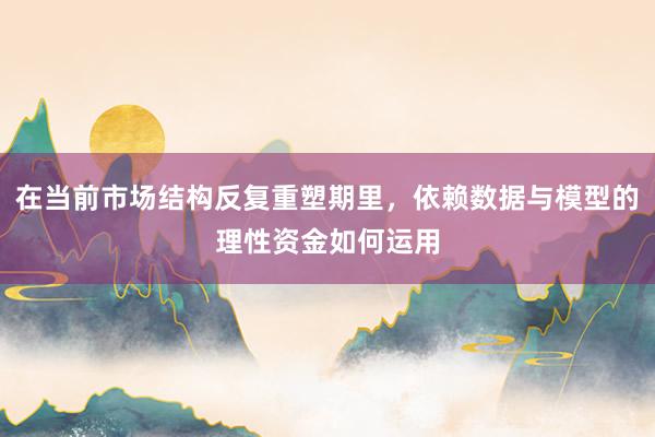 在当前市场结构反复重塑期里，依赖数据与模型的理性资金如何运用