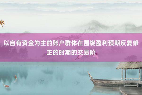 以自有资金为主的账户群体在围绕盈利预期反复修正的时期的交易阶