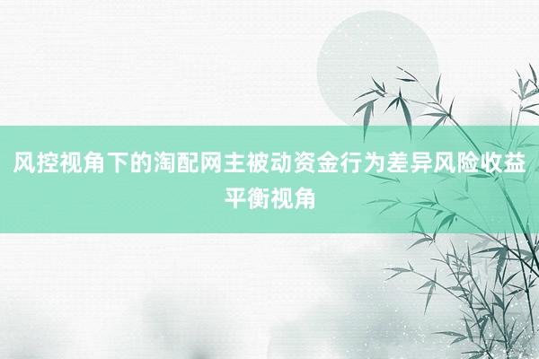 风控视角下的淘配网主被动资金行为差异风险收益平衡视角