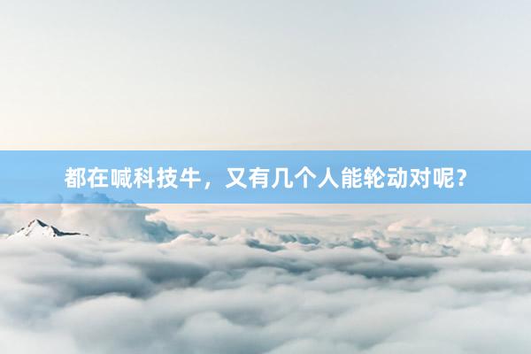 都在喊科技牛，又有几个人能轮动对呢？