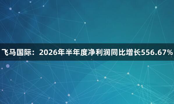 飞马国际：2026年半年度净利润同比增长556.67%