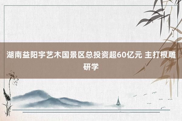 湖南益阳宇艺木国景区总投资超60亿元 主打根雕研学