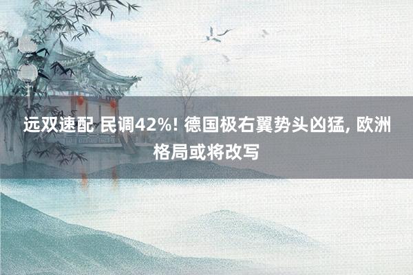 远双速配 民调42%! 德国极右翼势头凶猛, 欧洲格局或将改写