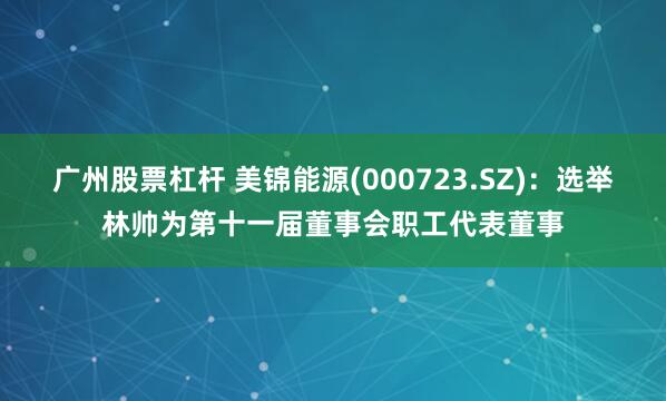 广州股票杠杆 美锦能源(000723.SZ)：选举林帅为第十一届董事会职工代表董事
