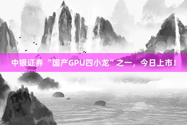 中银证券 “国产GPU四小龙”之一，今日上市！