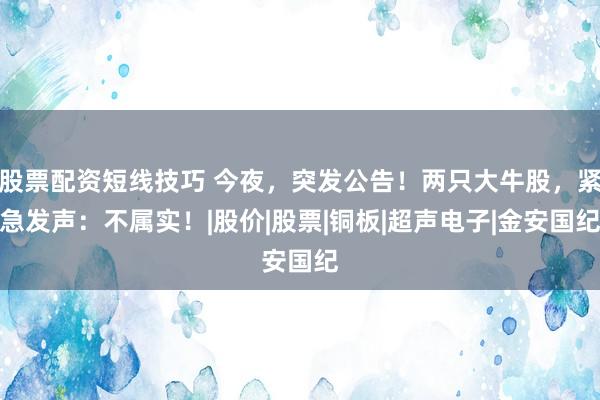 股票配资短线技巧 今夜，突发公告！两只大牛股，紧急发声：不属实！|股价|股票|铜板|超声电子|金安国纪