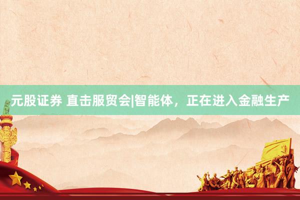 元股证券 直击服贸会|智能体，正在进入金融生产