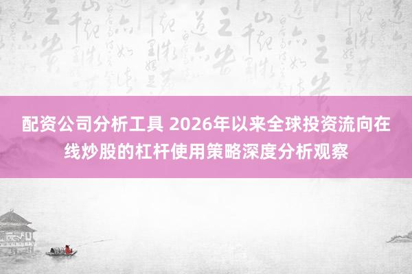 配资公司分析工具 2026年以来全球投资流向在线炒股的杠杆使用策略深度分析观察