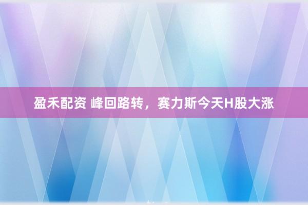 盈禾配资 峰回路转，赛力斯今天H股大涨